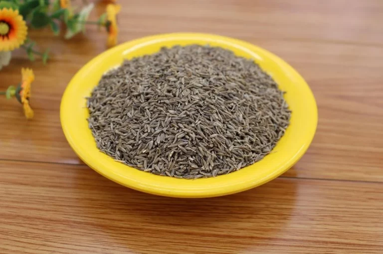1746041883-cumin-6152146-1280-690x480